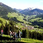 Lägenhet Haus Bergleiten *
